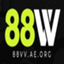 vv88aeorg