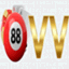 vvtools88