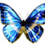 id:wakamoeki