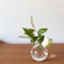id:wakuwakukurasu