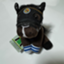id:watakichi_keiba
