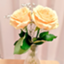 id:watashirashiku-ikiru