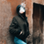 id:wellvape
