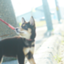 id:weupe_yohaku