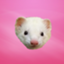 id:whitewolf-hiromi