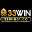 win01co133