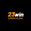 win19ink23