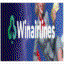 winairlinesde