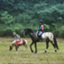 id:windomfarm