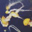 id:winged_victory
