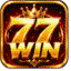 winnvipcom