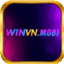 winvn