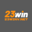 winvnet23