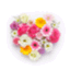 xgreen_pink