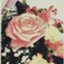 id:xhana87