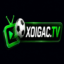 xoigacpro1 xoigacpro1