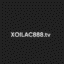 xoilacbongdalive1