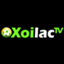 xoilactvnvncc
