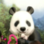id:y-ikumen