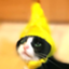y_komaco