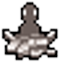 id:y_r00t