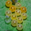 id:yagaikatudou