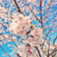 id:yamamocchannel