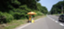 id:yamayuri3247