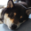 id:yarakasikun