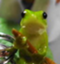 id:yayayamane