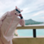 id:yb080979