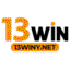 ynet13win