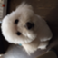 id:yojinara