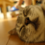 id:yomokuma_land