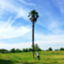 id:yoshikenUN