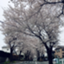 id:yoshio54blog