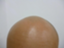id:youshin-oshiyou