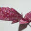 id:youtaiyamaguchi
