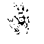 yp_p