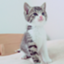 id:yrdwsn