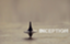 id:ys_barry_lyndon