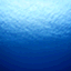 海山香月