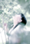 id:yuka0193