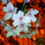 id:yukatsuyama
