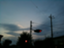id:yuki-pnx