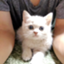 id:yukinaco