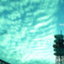id:yukisyuyuki