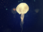 id:yumeeeco