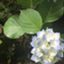 id:yupapo