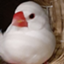 yutakakikaku